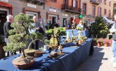 Mondovì, la nuova Fiera di Primavera esalta piante, fiori e musica. IL PROGRAMMA, TUTTI GLI EVENTI, I TEMI DI UNA GRANDE EDIZIONE (12 pagine centrali da conservare)
