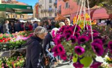 Mondoví, Fiera di Primavera. Il pienone già al mattino, con il sole