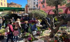 Mondovì, Fiera di Primavera 2023: successo di pubblico, apprezzata la scelta a favore del floreale

