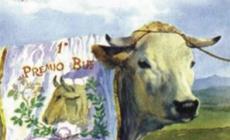 Ente Fiera Internazionale del Bue Grasso: il Comune di Carrù accelera