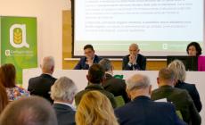 “Se la peste suina arrivasse nella Granda: danni per oltre mezzo miliardo di euro, cerca dei tartufi annullata, in crisi filiera del prosciutto e outdoor”