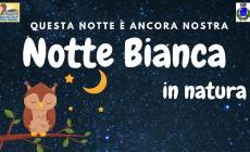 Notte Bianca in Natura a Morozzo

