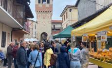 A Margarita un concorso di vignette per celebrare il Cavolo

