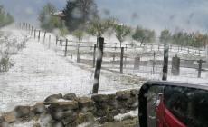 Grandinata in Langa: avviate le procedure per lo stato di calamit&agrave;