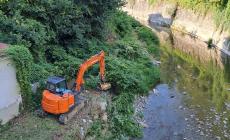 Mondoví, pulizia del torrente Ellero. Sindaco Robaldo: “Avviati gli interventi, seconda tranche di lavori nell’anno”
