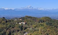 Montaldo Mondovì: consentita una deroga  alla pulizia dei boschi 