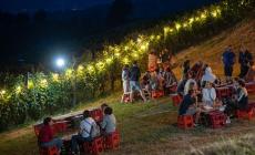 Nel Doglianese si iniziano a raccogliere le uve Pinot Nero e Chardonnay per la base dell’Alta Langa