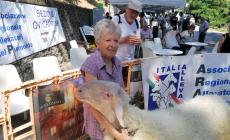 FOTOGALLERY -  Premiazioni Antica Fiera dei 30 Murazzano 2023