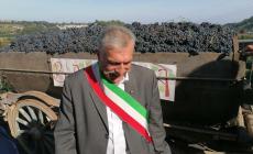 FOTOGALLERY - A Bastia la prima Mostra dell'Uva e del Vino 