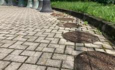 Mondovì: furto di campane alla Ecat 