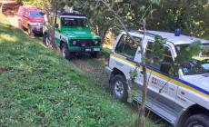 Ceva, punti da calabroni alla “Camminata settembrina”: partecipanti portati in ospedale