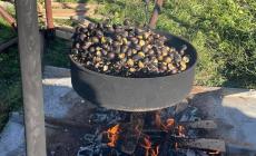 Frabosa Sottana svela la nuova “Sagra della Castagna”