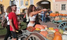FOTOGALLERY - Fiera della Zucca di Piozzo 2023 