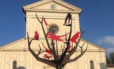 Sulla piazza centrale di Farigliano è comparso l’Albero dei Gat Ross