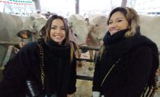 Fiera del Bue Grasso, ecco le prime indiscrezioni: confermato il percorso per vedere da vicino i capi