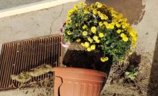 Trinità: ancora vandalismi in paese