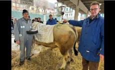 TUTTE LE FOTO A Ceva, per i premiati dei migliori esemplari alla Fiera di Santa Lucia
