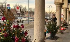 I Licei si aggiudicano il contest del Circolo delle Idee “Alberi di Natale”.