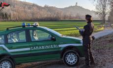 Controlli dei carabinieri forestali negli uffici comunali di Clavesana 