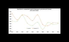 Imprese 2023 nella “Granda”, saldo negativo: -65. Tasso di crescita -0,10