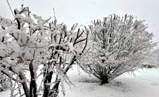 Maltempo: permane l’allerta arancione per valanghe, precipitazioni in attenuazione e verso l’esaurimento
