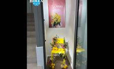 Mondovì: Ottica Bolla si aggiudica il contest della miglior “Vetrina in Giallo”