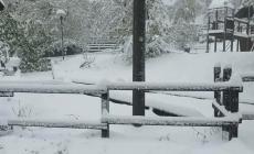 Roburent: l'arrivo della neve "congela" la Festa di Primavera