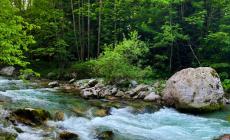 Si torna a pescare nelle due riserve della val Pesio
