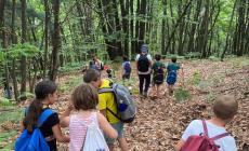 Vicoforte: iscrizioni aperte per “Esplora l’estate”