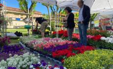A Vicoforte è festa dei fiori con  Florete Flores 