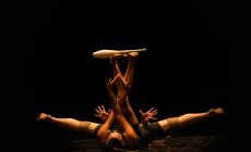 A Mondovì è tempo di arte circense, torna il Festival Piazza di Circo