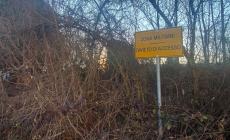 Mondovì: quella zona del Tiro a Segno dove incuria e sterpaglie non le cura nessuno per motivi burocratici