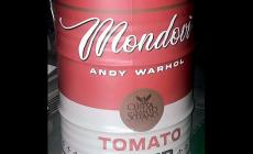 Andy Warhol, la bellezza della pop art a Mondovì