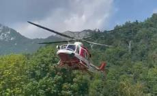 Garessio: bovino ferito in salvo grazie ai vigili del fuoco 