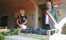 A Bastia c’è festa: domenica la seconda edizione della “Mostra dell’Uva e del Vino”