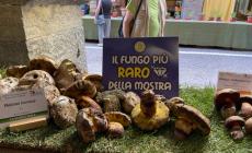 Ceva si veste a festa con la Mostra del Fungo

