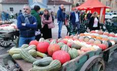 FOTOGALLERY - Inaugurazione Fiera della Zucca di Piozzo 2024