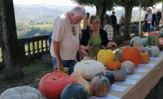 FOTOGALLERY - Boom di visitatori nel weekend a Piozzo: in 50.000 per la Fiera della Zucca 2024