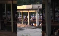 Mondovì: centinaia di persone per la preghiera musulmana ai "Ravanet"