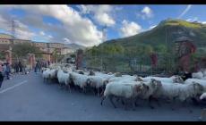 Il passaggio della transumanza in paese per la fiera della castagna Garessina