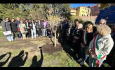 Mondovì, il coraggio della famiglia Castagnino: salvò la vita ad ebreo, oggi il melograno li ricorda
