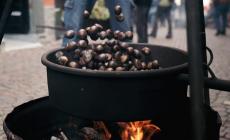 "Economia circolare" tra castagne, castagnate e beneficenza