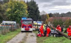 FOTOGALLERY - Simulazione di emergenza con i Volontari del Soccorso in occasione dei 30 anni dall'alluvione del '94
