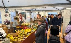 “Calici e Forchette” 2024 a Mondovì: riflettiamo sul futuro. Che cosa ha funzionato e che cosa deve essere rivisto