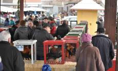 Morozzo: ufficiale il programma della Fiera del Cappone