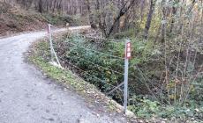 San Michele: messe in sicurezza anche alcune strade nelle frazioni