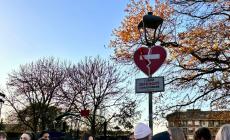 Mondovì: camminata dei Licei (sezione Rondine) contro la violenza sulle donne. Svelati i nuovi cartelli del "1522"