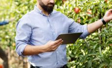Agricoltura: perplessità di Cia Cuneo sul Quaderno di Campagna 