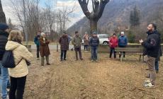 Chiusa Pesio, la potatura delle piante dell’area verde fa discutere: il sindaco incontra i cittadini