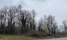 San Michele: via ai lavori di pulizia nell’area del nuovo Nido